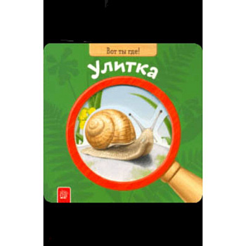Вот ты где! Улитка