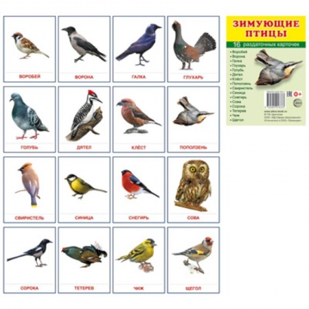 Окружающий мир, книга Демонстрационные картинки Супер. Зимующие птицы.16 раздаточных карточек с текстом купить по скидке