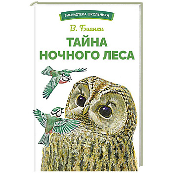 Тайна ночного леса