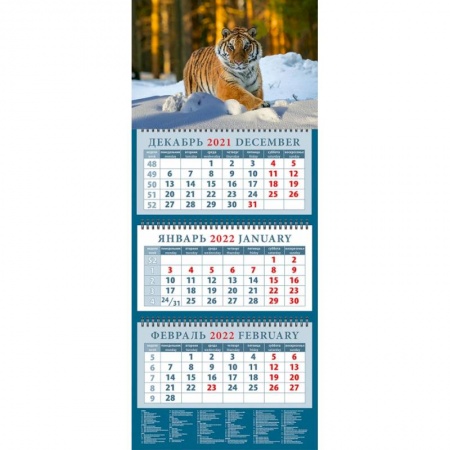 Книги, книга Календарь квартальный на 2022 год 'Год тигра. В зимнем лесу' купить по скидке