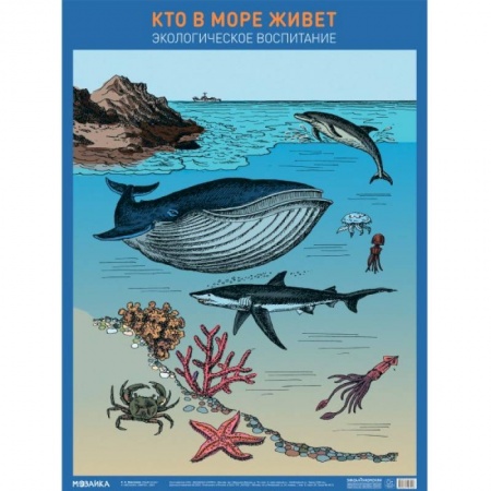 Животный и растительный мир, книга Кто в море живет купить по скидке