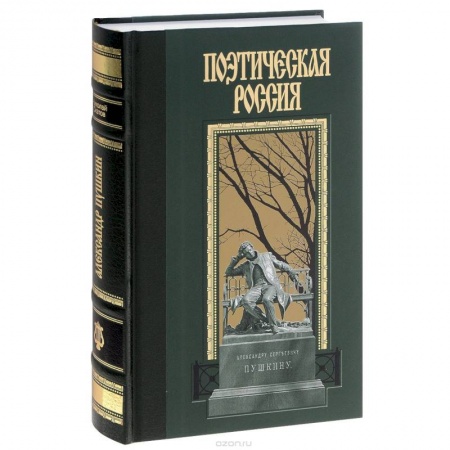 Мемуары, биографии деятелей культуры, искусства, книга Александр Пушкин купить по скидке