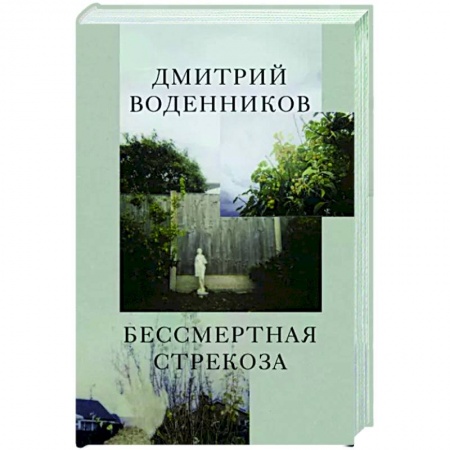 Русская поэзия, книга Бессмертная стрекоза купить по скидке