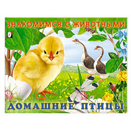 Животный и растительный мир, книга Домашние птицы купить по скидке